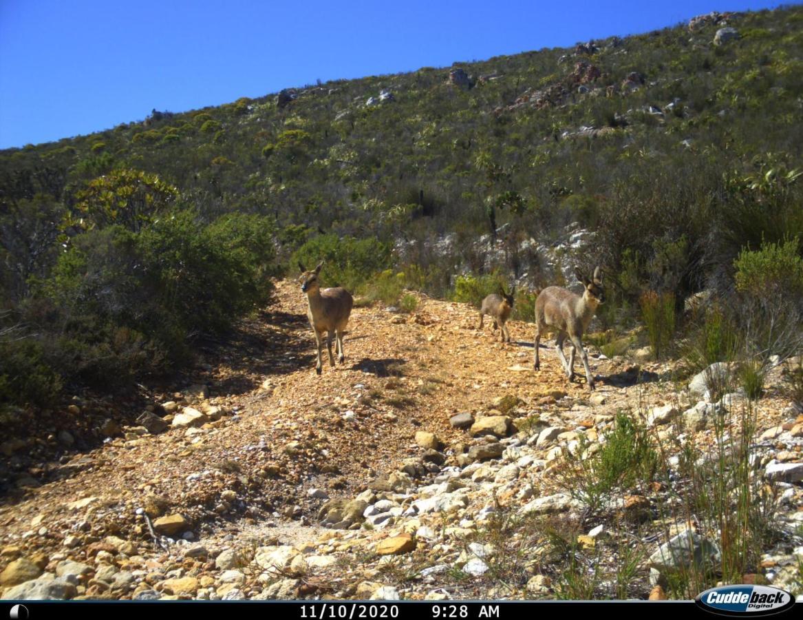 Farm 215 Private Nature Reserve Uilenkraal Esterno foto